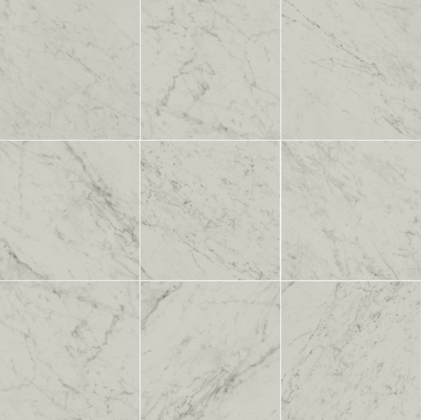 Carara 30 X 30 Photo