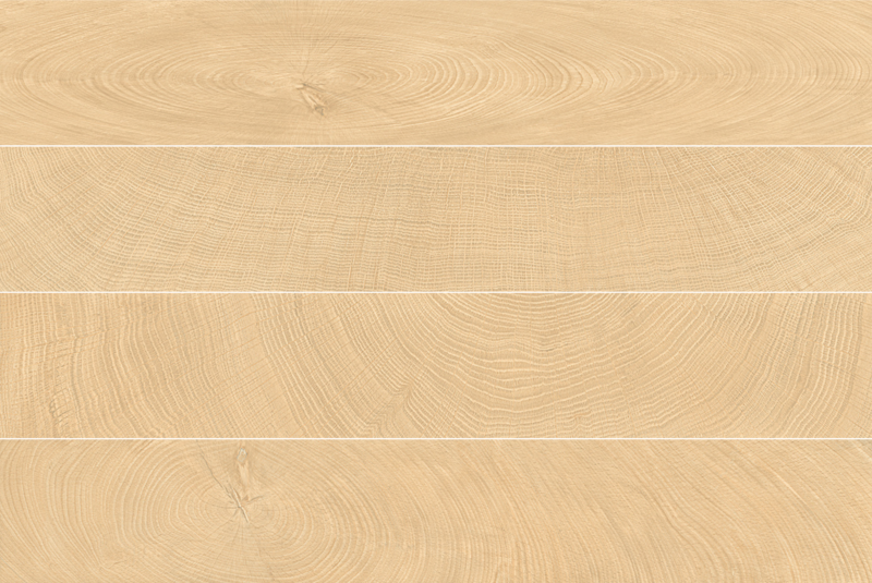 OAK 20 x 120 Photo
