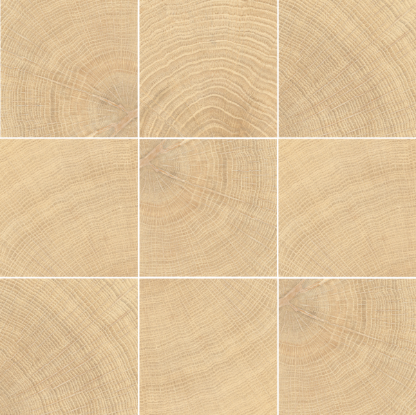 Oak 10 x 10 Photo