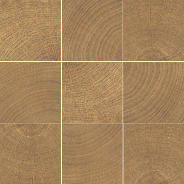 Walnut 10 x 10 Photo