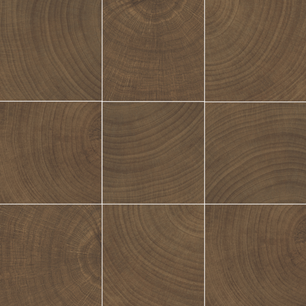 Wenge 10 x 10 Photo